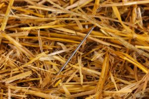 16414511-Needle-in-a-haystack-close-up-Stock-Photo