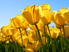Online Support for Grieving Your Friend